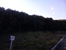 西東京市 夜カフェ &amp; バー Diamond Head スローライフな日記＠西武柳沢